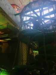 -恐龙探索乐园(磁器口店)