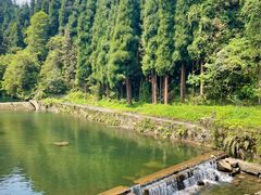 -龙苍沟森林公园