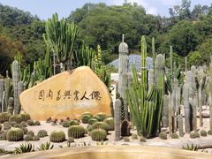 -深圳仙湖植物园