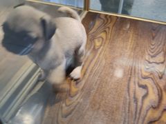 -乐宠宠物店(世纪金源店)