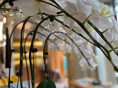 -拂晓山房·私房川菜(西门店)