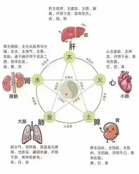 -雅曼妮spa美容养生