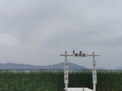 -观澜小洱海
