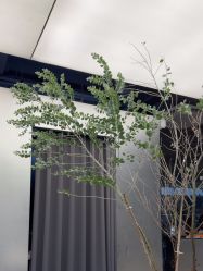 点击看大图 -菲·木田moontin造型salon