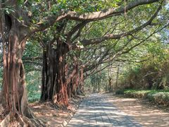 -南沙天后宫景区
