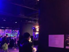 -VS SPORTS PARK运动玩乐园·团建·生日会(合生汇店)