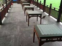 -代木儿回锅肉
