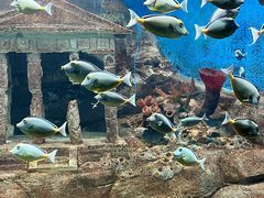 -合肥海洋世界