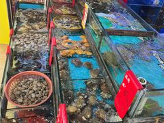 -鑫鸿达·海鲜闽菜热炒小馆(中山路店)