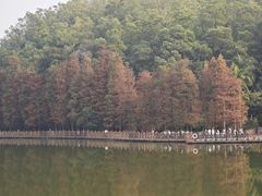 -番禺大夫山森林公园