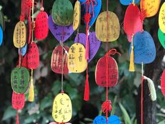 -又见炊烟．纳西小院云南菜