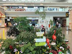 -重庆江北国际机场-T2航站楼