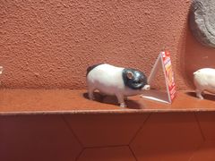 -猪角·闽南猪脚饭(华闽大厦店)