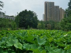 -沐仙湖湿地公园