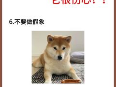 -美联众合动物医院·24h转诊中心
