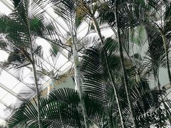 -龙熙温泉水世界