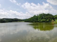 -东莞植物园