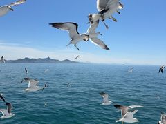 -海驴岛(荣成市)