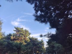 -北陵公园