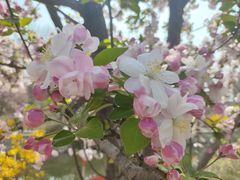 -元大都城垣遗址公园