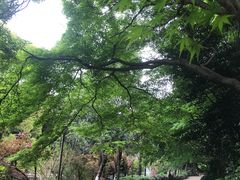 -叶家花园