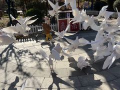 -南宫五洲植物乐园