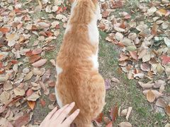 -华东政法大学(松江校区)