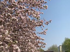 -海棠花溪(元大都城垣遗址公园)