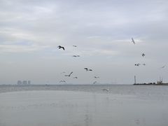 -东戴河风景区-止锚湾