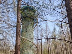 -黄海国家森林公园