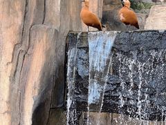-上海野生动物园