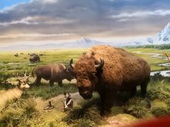 -陕西自然博物馆