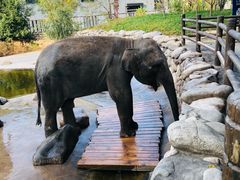 -北京野生动物园