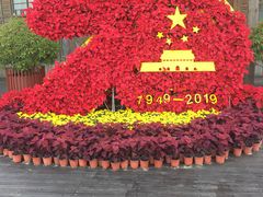 -溱湖国家湿地公园