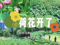 -沐仙湖湿地公园