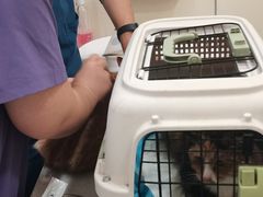 -萌兽医馆·犬猫专科·眼科中心·宠物医院(朝阳门分院)