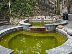 -花水湾第一村温泉大酒店