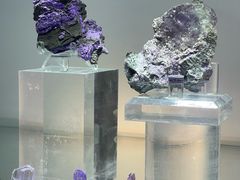 -南京维景国际大酒店(南京博物院店)