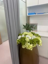 -素美医疗美容·西南眼鼻整形·修复基地