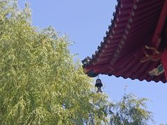 -哈尔滨极乐寺
