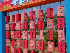 -芒洲湿地公园