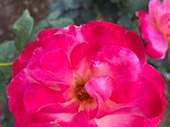 -人民公园(罗湖区)