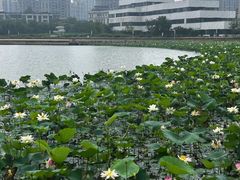 -上海玛雅海滩水公园