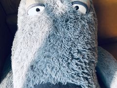 -Blueglass酸奶(财富购物中心店)