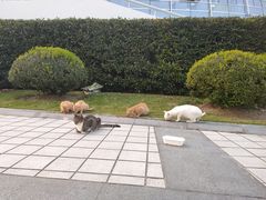 -东华大学第一食堂(松江校区店)