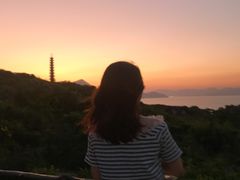 -杨梅坑