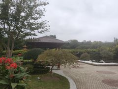 -嘉定紫藤园