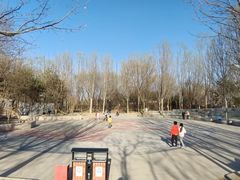 -东升文体公园