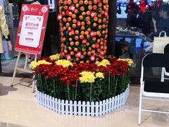 -同仁四季椰子鸡(宝安壹方城店)
