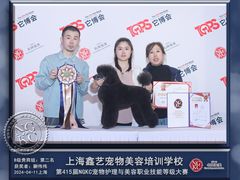 -鑫艺宠物美容培训学校